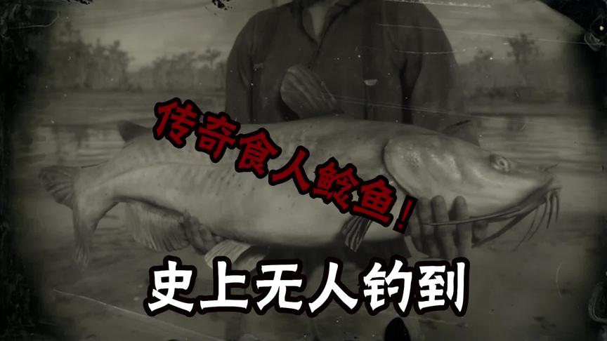 荒野大镖客2:史上最大的食人鲇鱼