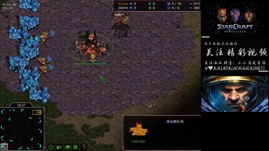 星际争霸 感谢张建军点播 光哥vs假解冻 战术的克制！ (2)