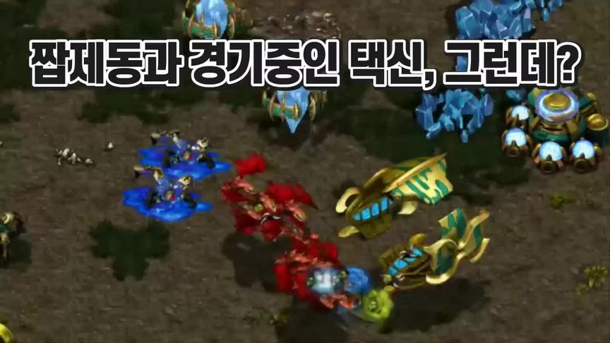星际争霸 bisu PvZ  这种局面也能守住？？ 怎么可能
