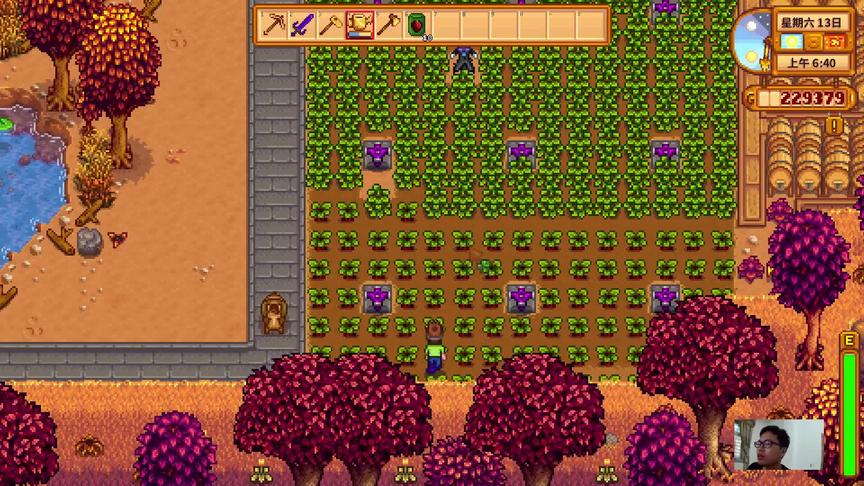 星露谷物语EP76：准备生个小孩并且制作下白砂糖