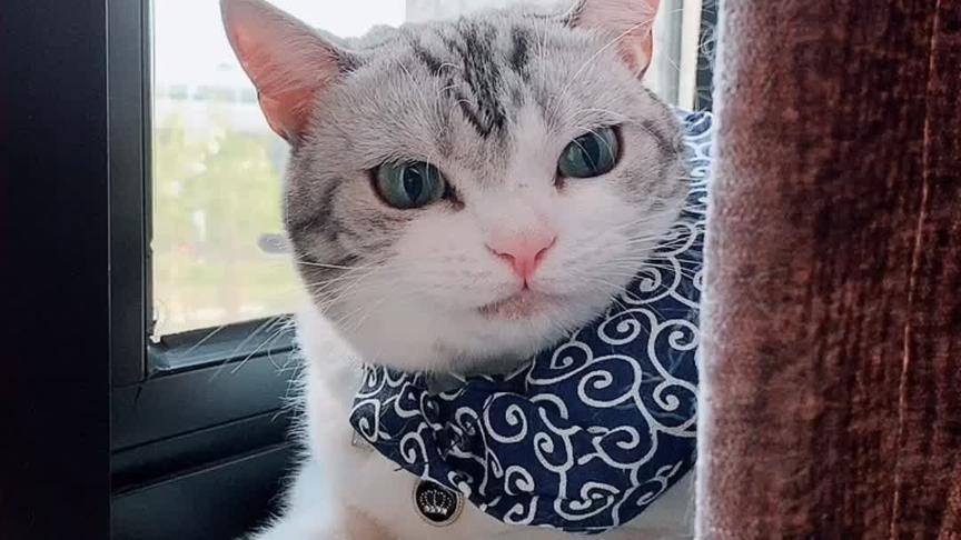 momo酱 - 西瓜视频