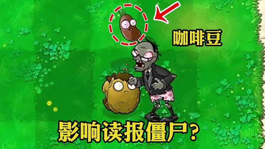 植物大战僵尸：咖啡豆能否影响读报僵尸？实战告诉你！