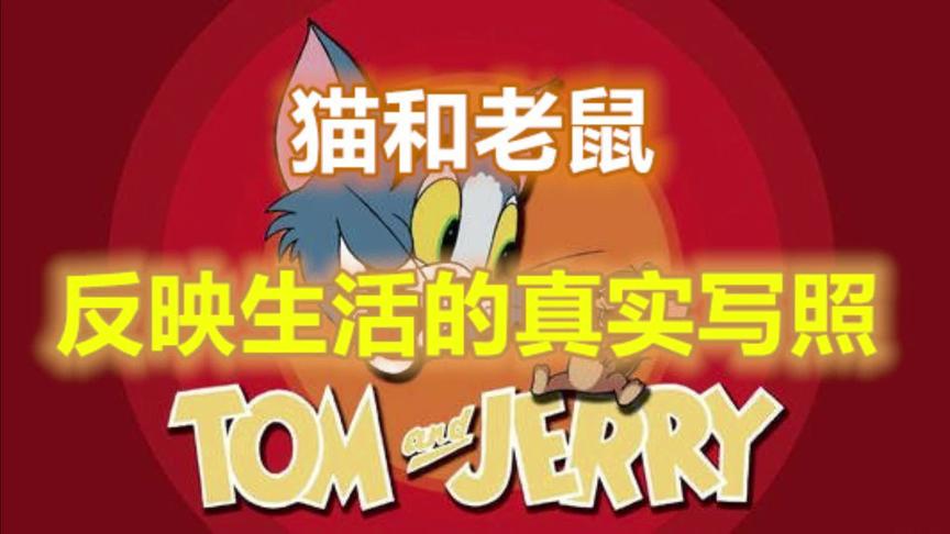 猫和老鼠：你知道吗？汤姆猫才是生活的真实写照！