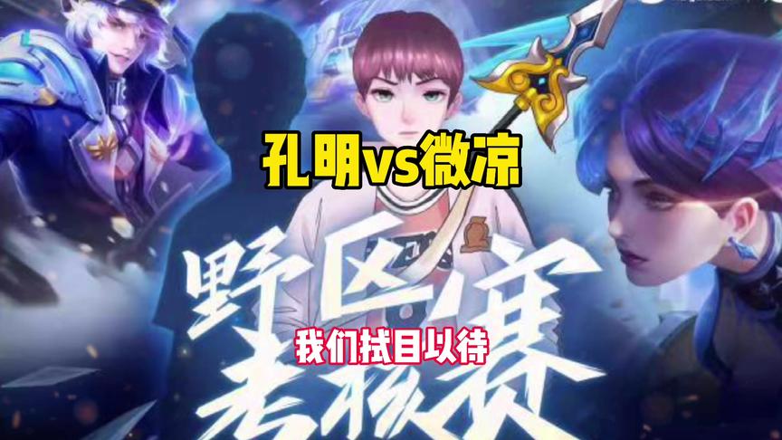 野王诸葛怕被反野？实践出真理