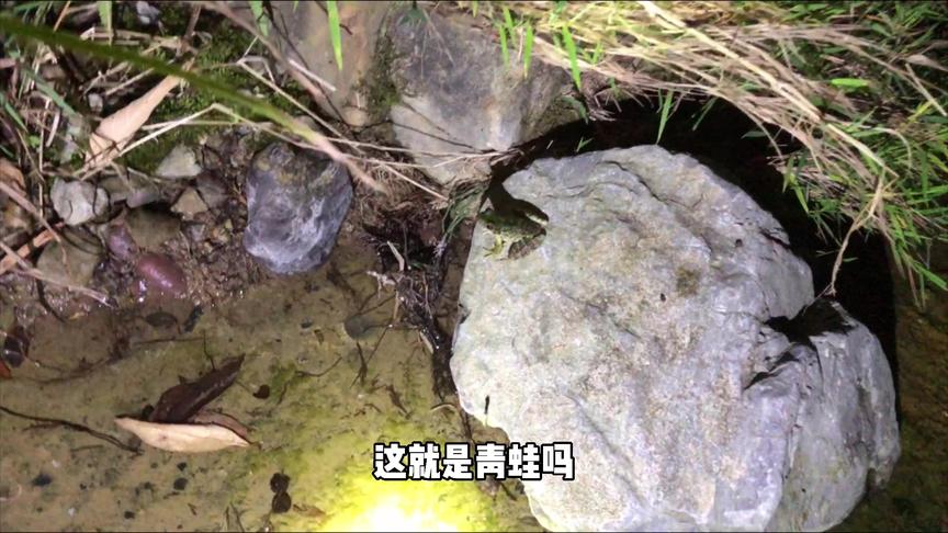 这就是农村夜生活，真舒服呀！#Vlog日常