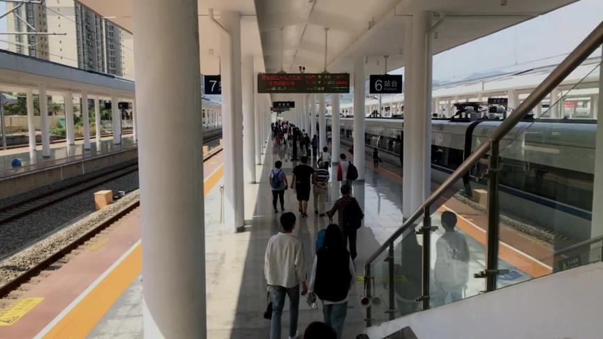 长隆海洋王国联动，重现快乐101场景#明日之后