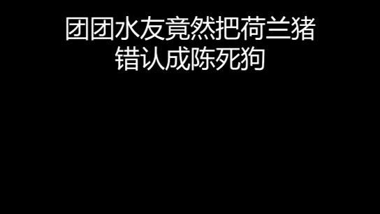 这就尴尬拉