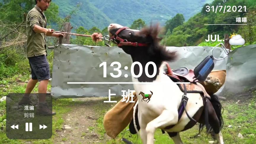 马的快递到了，请签收。#阿布的若丁山 #原生态乡村生活