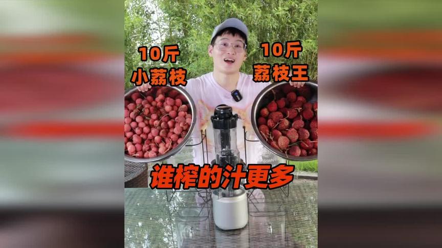 10斤荔枝王 vs 10斤小荔枝！烧钱解剖网红荔枝王为什么贵