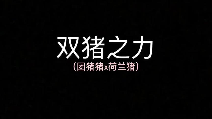 这不就是劝退组合~~