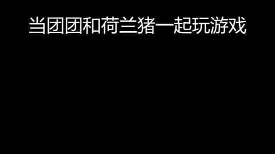 两猪的第一次相遇😄
