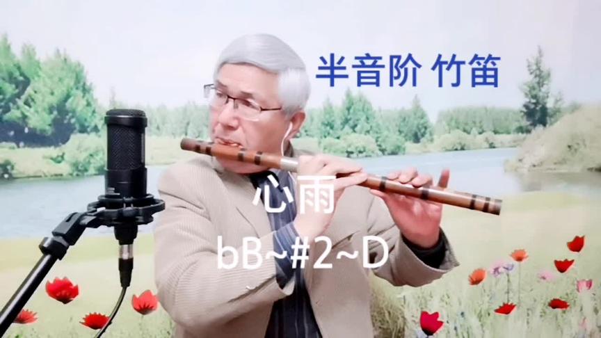 心雨 半音阶竹笛bb 2 D 竹笛演奏 民族乐器 西瓜视频