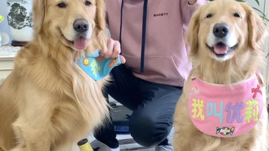 金毛蛋黄 西瓜视频