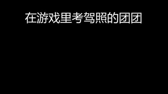 这游戏叫驾驶模拟器。。。。