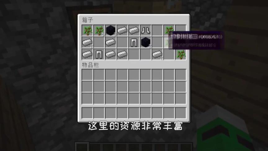 我的世界：史上最大村庄地图推荐，资源超丰富！