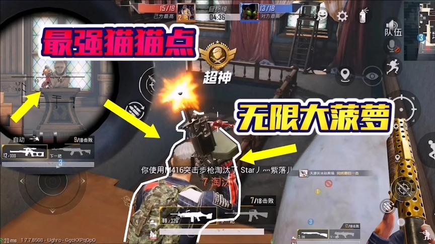 和平精英MVP套餐：最强猫猫点+无限大菠萝