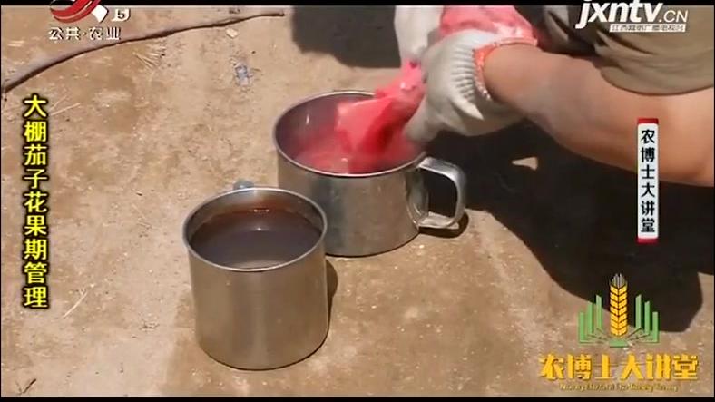 茄子授粉药 西瓜视频