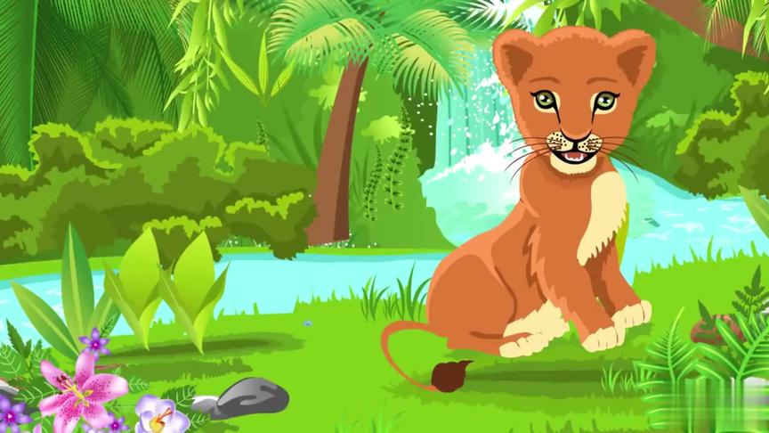 动物身体部位英文单词 西瓜视频