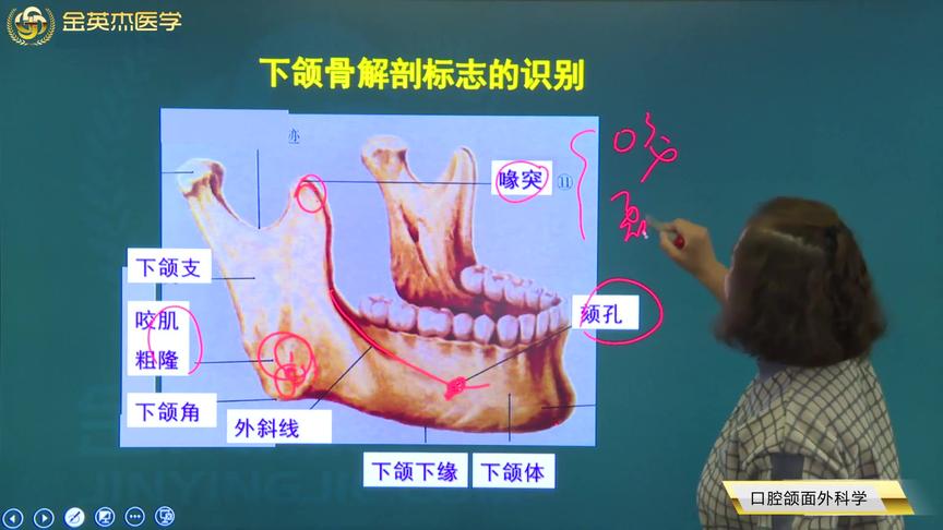 口腔各个部位名称图 西瓜视频